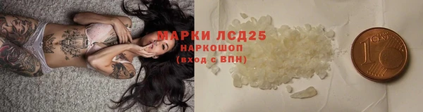 ПСИЛОЦИБИНОВЫЕ ГРИБЫ Алексеевка