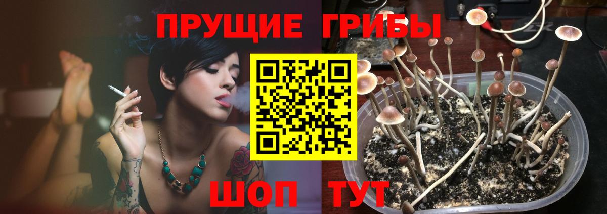 Жуковский  Галлюциногенные грибы ЛСД  сколько стоит  Вход с VPN 